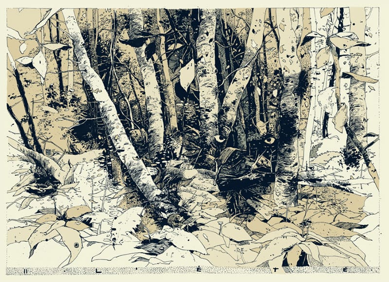 Picture